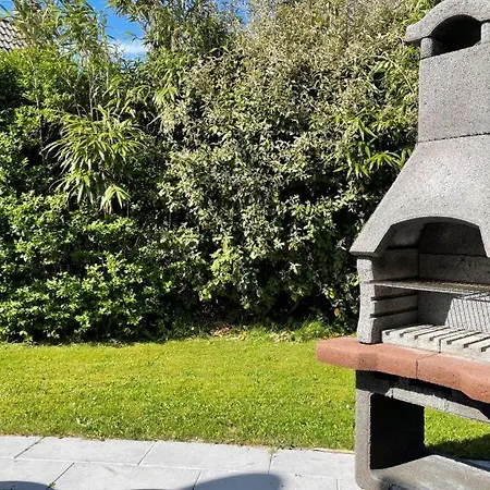 Zeester 007 Julianadorp