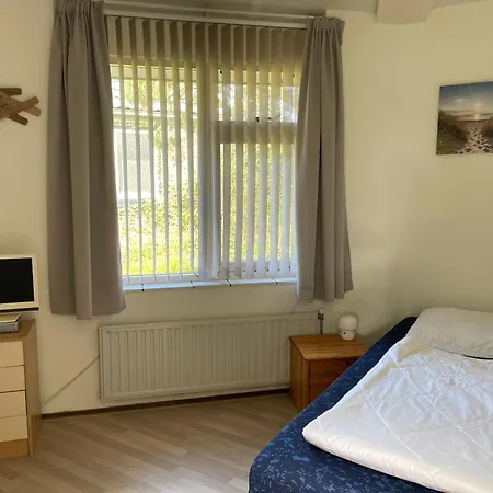 Zeester 007 * Julianadorp